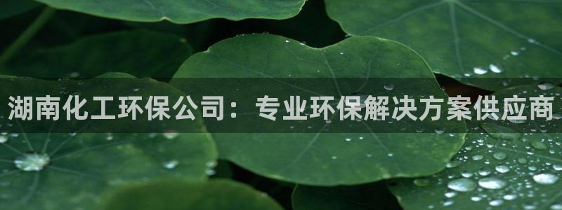 亿万网络：湖南化工环保公司：专业环保解决方案供应商