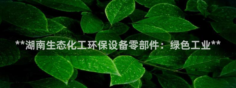 亿万先生客服联系电话：**湖南生态化工环保设备零部件：绿色工业**