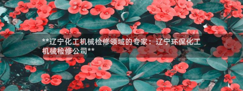 亿万先生用什么客户端：**辽宁化工机械检修领域的专家：辽宁环保化工
机械检修公司**